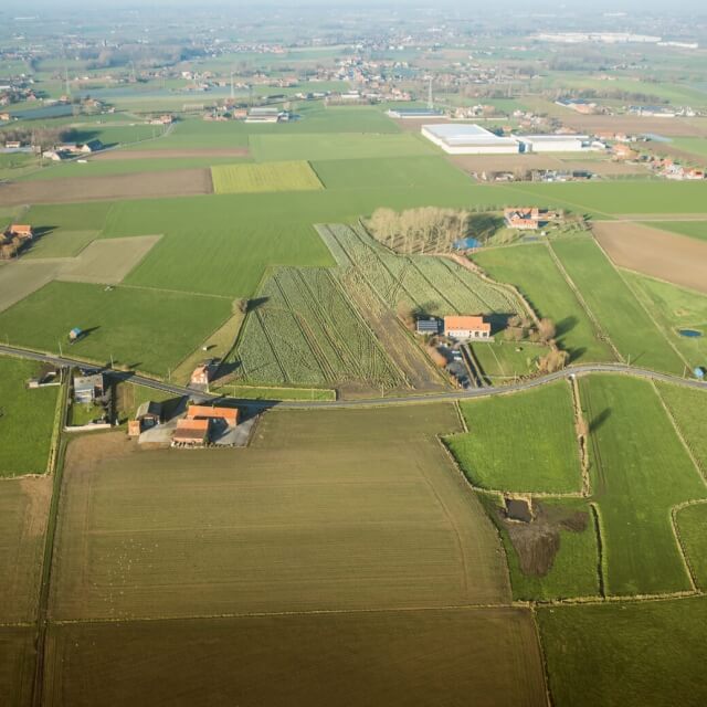  2019-01-01- kaderke-9.jpg